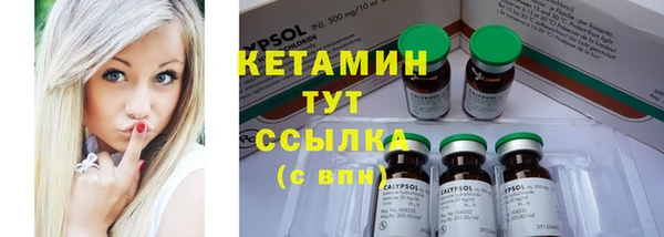 твердый Инсар