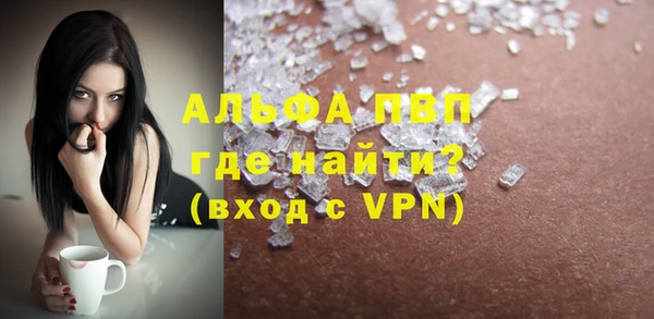 стафф Инта