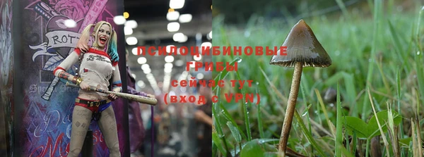 mdpv Белоозёрский