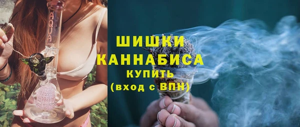 тгк Богородицк