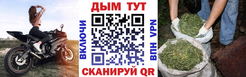 Конопля планчик Комсомольск